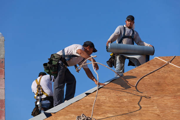 Best Storm Damage Roof Repair  in Reed Creek, GA