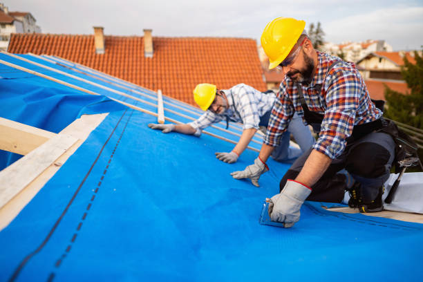 Professional Roofing Contractor in Reed Creek, GA