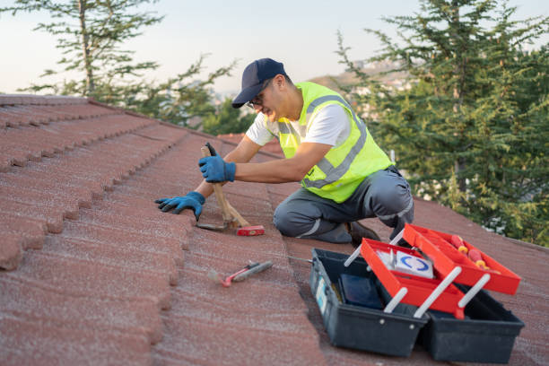 Best Local Roofing Companies  in Reed Creek, GA