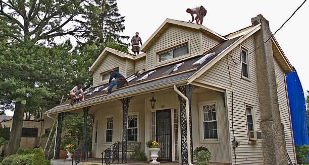 Best Roof Repair Services  in Reed Creek, GA