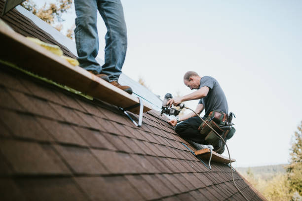 Best Metal Roofing Contractor  in Reed Creek, GA